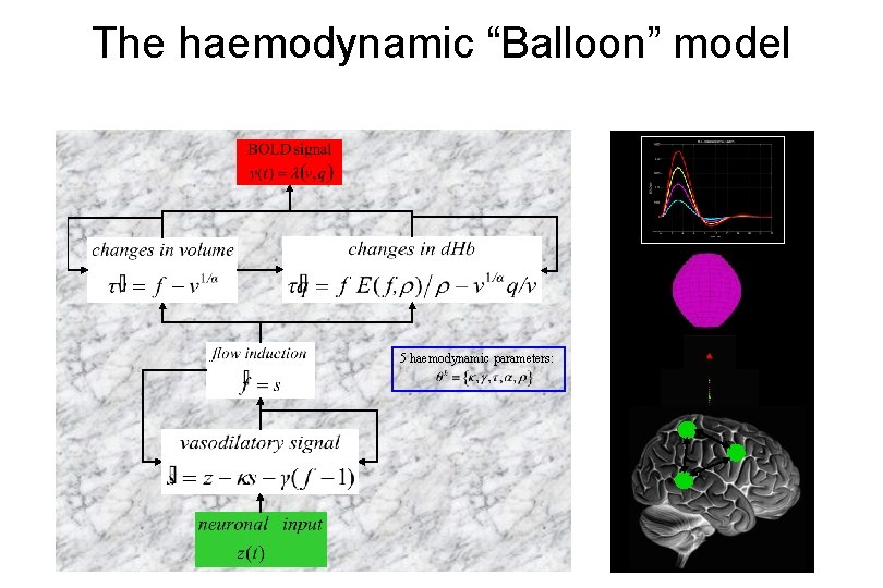 The haemodynamic “Balloon” model 5 haemodynamic parameters: 