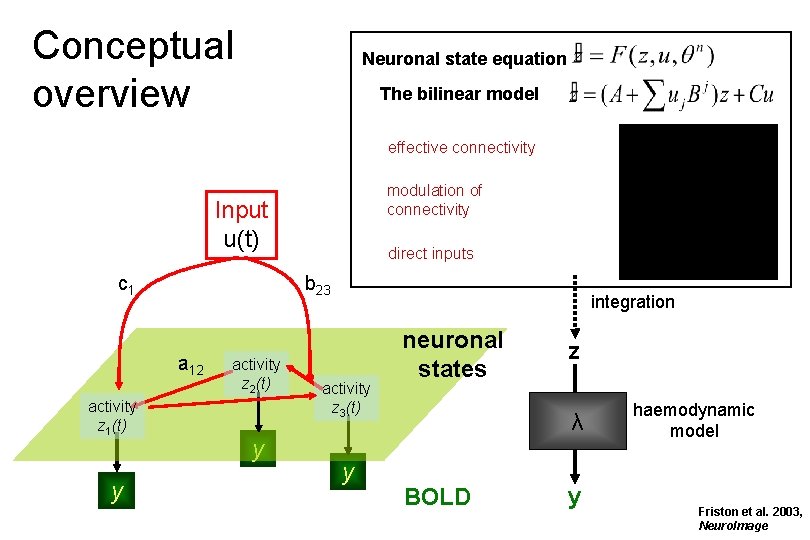 Conceptual overview Neuronal state equation The bilinear model effective connectivity modulation of connectivity Input