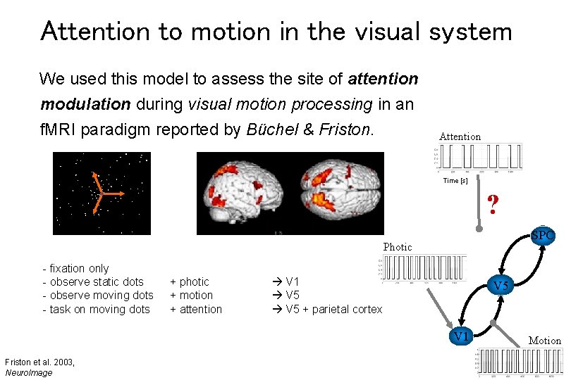 Attention to motion in the visual system We used this model to assess the