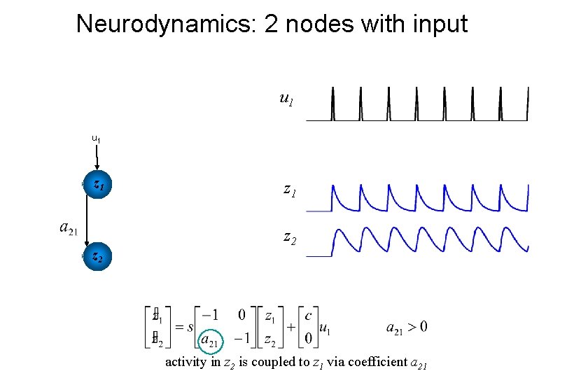 Neurodynamics: 2 nodes with input u 1 u 2 z 1 z 2 activity