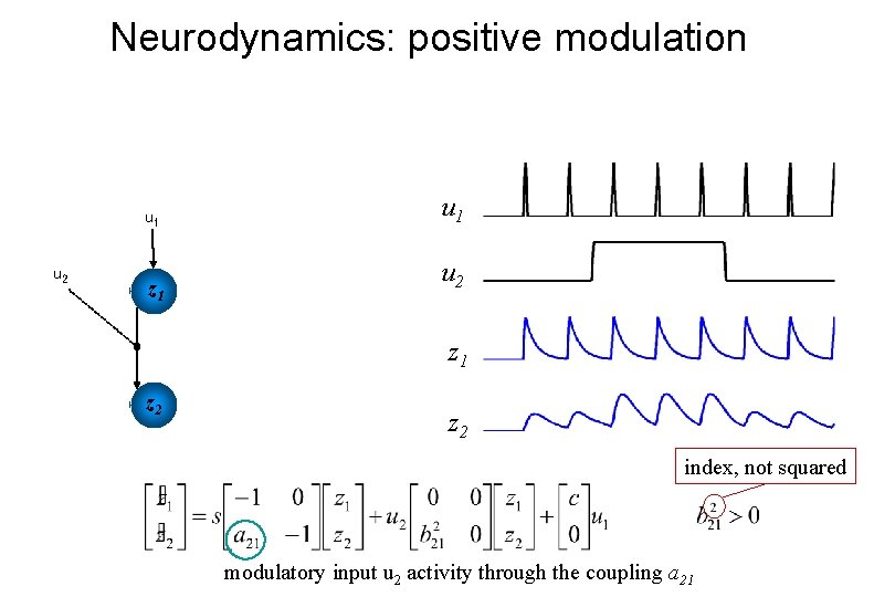 Neurodynamics: positive modulation u 1 u 2 z 1 z 2 index, not squared