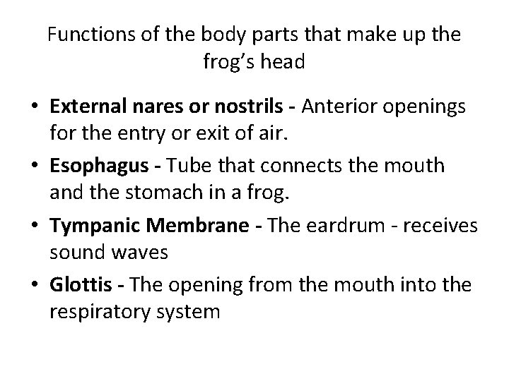 Functions of the body parts that make up the frog’s head • External nares