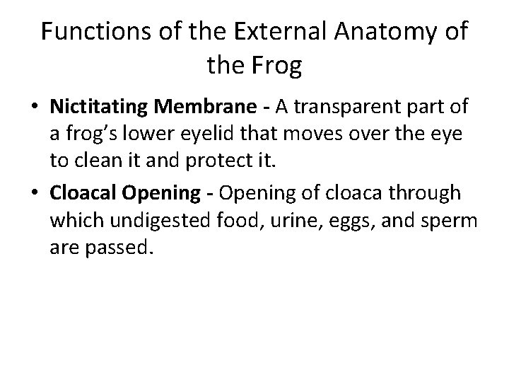 Functions of the External Anatomy of the Frog • Nictitating Membrane - A transparent