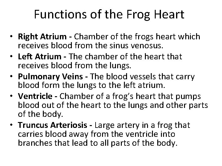 Functions of the Frog Heart • Right Atrium - Chamber of the frogs heart