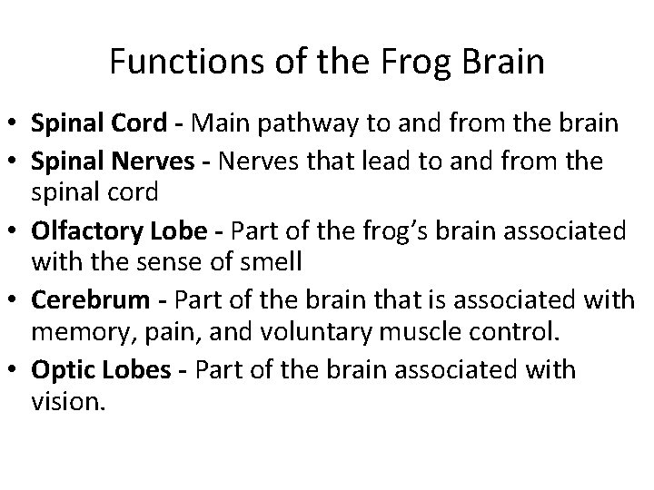 Functions of the Frog Brain • Spinal Cord - Main pathway to and from