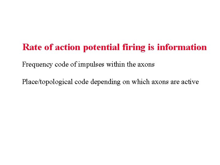 Rate of action potential firing is information Frequency code of impulses within the axons Rate of action potential firing is information Frequency code of impulses within the axons