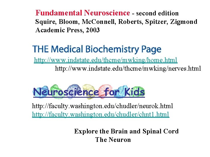 Fundamental Neuroscience - second edition Squire, Bloom, Mc. Connell, Roberts, Spitzer, Zigmond Academic Press, Fundamental Neuroscience - second edition Squire, Bloom, Mc. Connell, Roberts, Spitzer, Zigmond Academic Press,