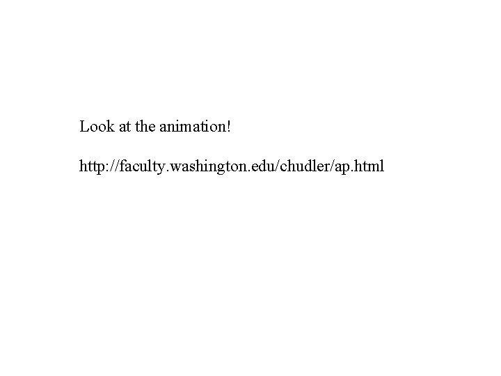 Look at the animation! http: //faculty. washington. edu/chudler/ap. html Look at the animation! http: //faculty. washington. edu/chudler/ap. html