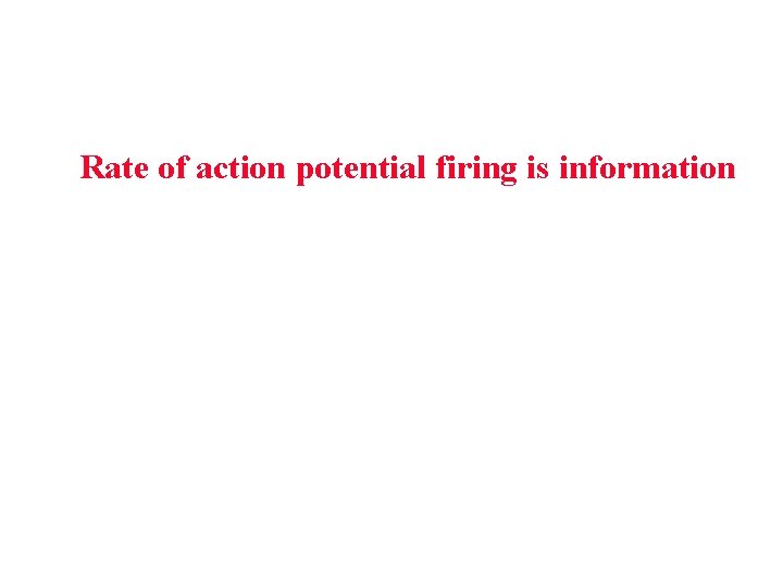 Rate of action potential firing is information Rate of action potential firing is information