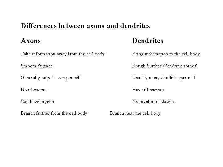 Differences between axons and dendrites Axons Dendrites Take information away from the cell body Differences between axons and dendrites Axons Dendrites Take information away from the cell body