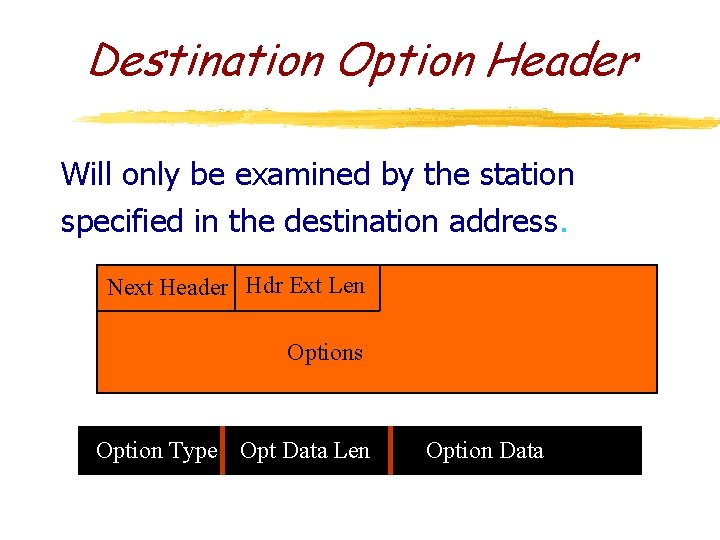 Destination Option Header Will only be examined by the station specified in the destination