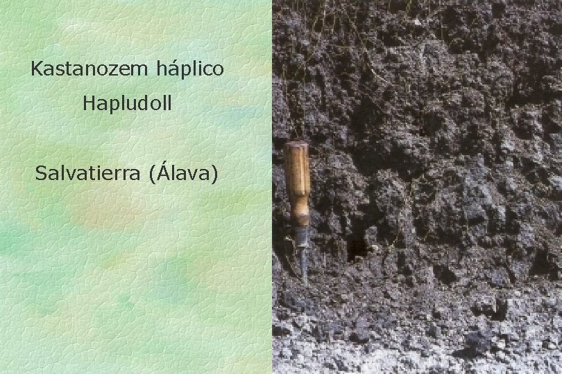 Kastanozem háplico Hapludoll Salvatierra (Álava) 