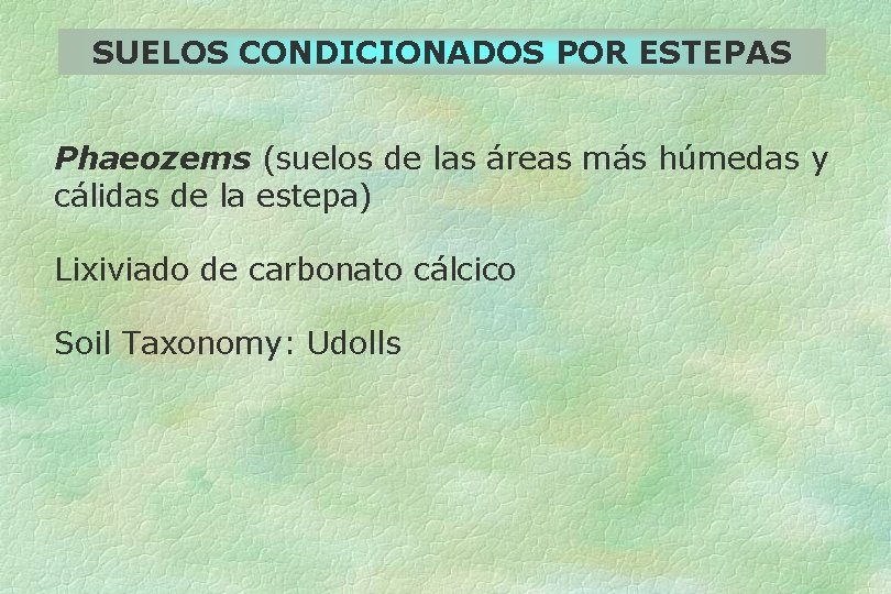 SUELOS CONDICIONADOS POR ESTEPAS Phaeozems (suelos de las áreas más húmedas y cálidas de