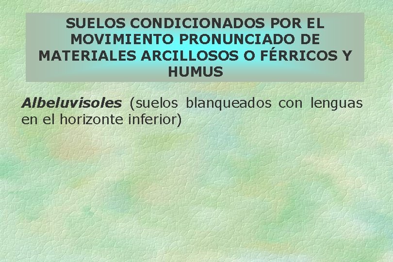 SUELOS CONDICIONADOS POR EL MOVIMIENTO PRONUNCIADO DE MATERIALES ARCILLOSOS O FÉRRICOS Y HUMUS Albeluvisoles