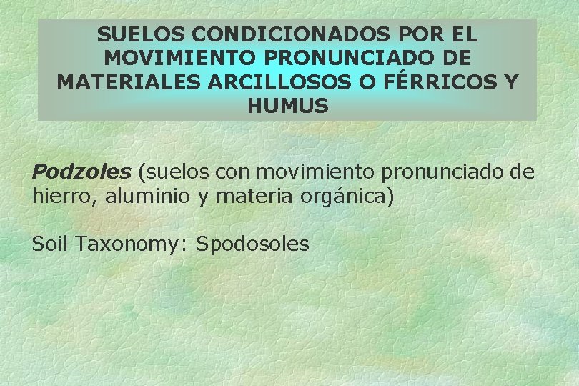 SUELOS CONDICIONADOS POR EL MOVIMIENTO PRONUNCIADO DE MATERIALES ARCILLOSOS O FÉRRICOS Y HUMUS Podzoles