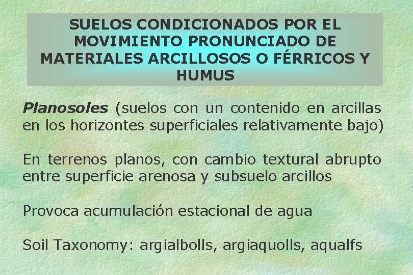 SUELOS CONDICIONADOS POR EL MOVIMIENTO PRONUNCIADO DE MATERIALES ARCILLOSOS O FÉRRICOS Y HUMUS Planosoles