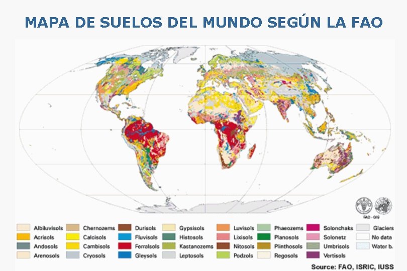 MAPA DE SUELOS DEL MUNDO SEGÚN LA FAO 