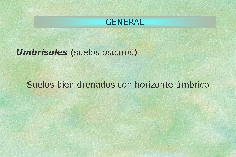 GENERAL Umbrisoles (suelos oscuros) Suelos bien drenados con horizonte úmbrico 