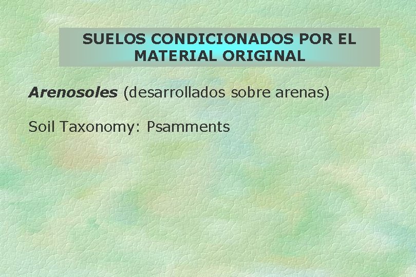 SUELOS CONDICIONADOS POR EL MATERIAL ORIGINAL Arenosoles (desarrollados sobre arenas) Soil Taxonomy: Psamments 