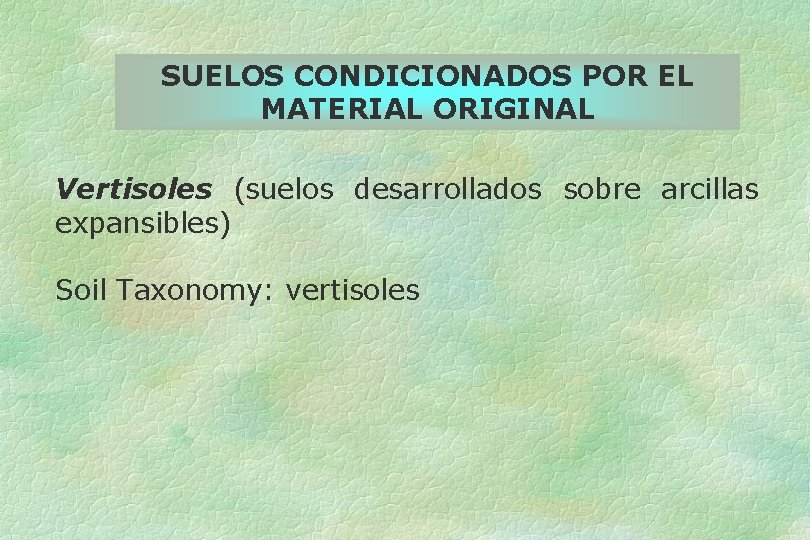 SUELOS CONDICIONADOS POR EL MATERIAL ORIGINAL Vertisoles (suelos desarrollados sobre arcillas expansibles) Soil Taxonomy: