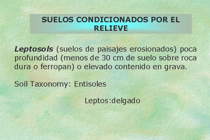 SUELOS CONDICIONADOS POR EL RELIEVE Leptosols (suelos de paisajes erosionados) poca profundidad (menos de