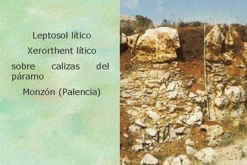 Leptosol lítico Xerorthent lítico sobre calizas páramo del Monzón (Palencia) 