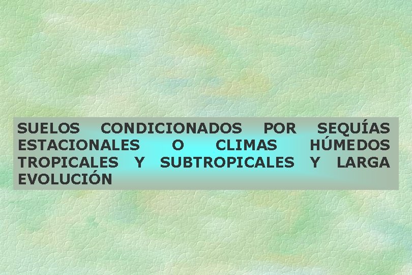 SUELOS CONDICIONADOS POR SEQUÍAS ESTACIONALES O CLIMAS HÚMEDOS TROPICALES Y SUBTROPICALES Y LARGA EVOLUCIÓN