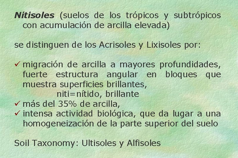 Nitisoles (suelos de los trópicos y subtrópicos con acumulación de arcilla elevada) se distinguen