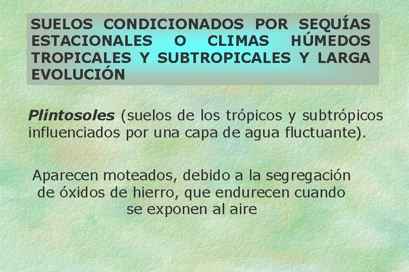 SUELOS CONDICIONADOS POR SEQUÍAS ESTACIONALES O CLIMAS HÚMEDOS TROPICALES Y SUBTROPICALES Y LARGA EVOLUCIÓN