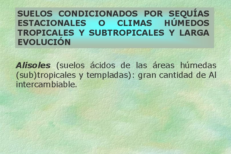 SUELOS CONDICIONADOS POR SEQUÍAS ESTACIONALES O CLIMAS HÚMEDOS TROPICALES Y SUBTROPICALES Y LARGA EVOLUCIÓN