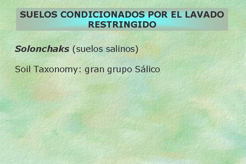 SUELOS CONDICIONADOS POR EL LAVADO RESTRINGIDO Solonchaks (suelos salinos) Soil Taxonomy: gran grupo Sálico