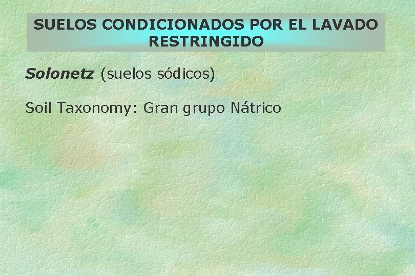 SUELOS CONDICIONADOS POR EL LAVADO RESTRINGIDO Solonetz (suelos sódicos) Soil Taxonomy: Gran grupo Nátrico