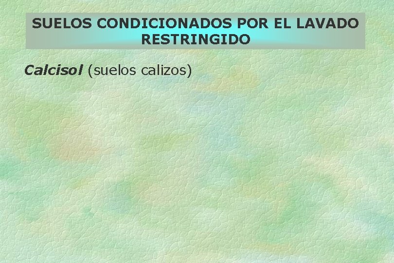 SUELOS CONDICIONADOS POR EL LAVADO RESTRINGIDO Calcisol (suelos calizos) 