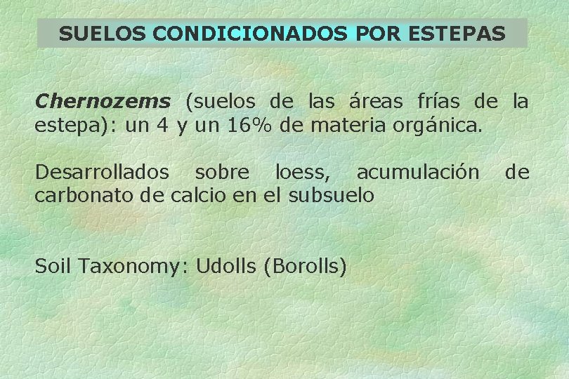 SUELOS CONDICIONADOS POR ESTEPAS Chernozems (suelos de las áreas frías de la estepa): un