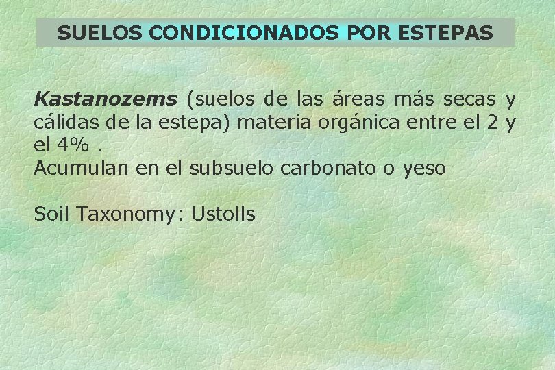 SUELOS CONDICIONADOS POR ESTEPAS Kastanozems (suelos de las áreas más secas y cálidas de