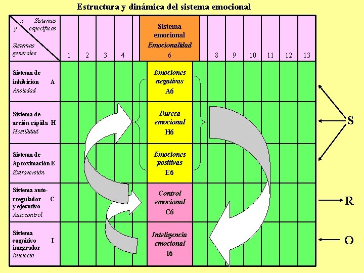 Estructura y dinámica del sistema emocional x y Sistemas específicos Sistemas generales 1 2