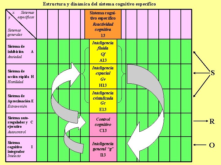 Estructura y dinámica del sistema cognitivo específico x y Sistemas específicos Sistemas generales Sistema