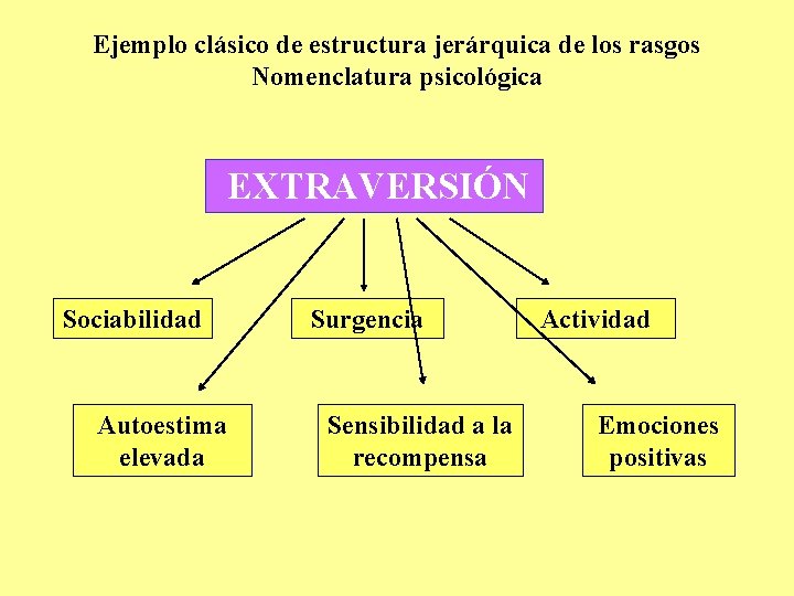 Ejemplo clásico de estructura jerárquica de los rasgos Nomenclatura psicológica EXTRAVERSIÓN Sociabilidad Autoestima elevada