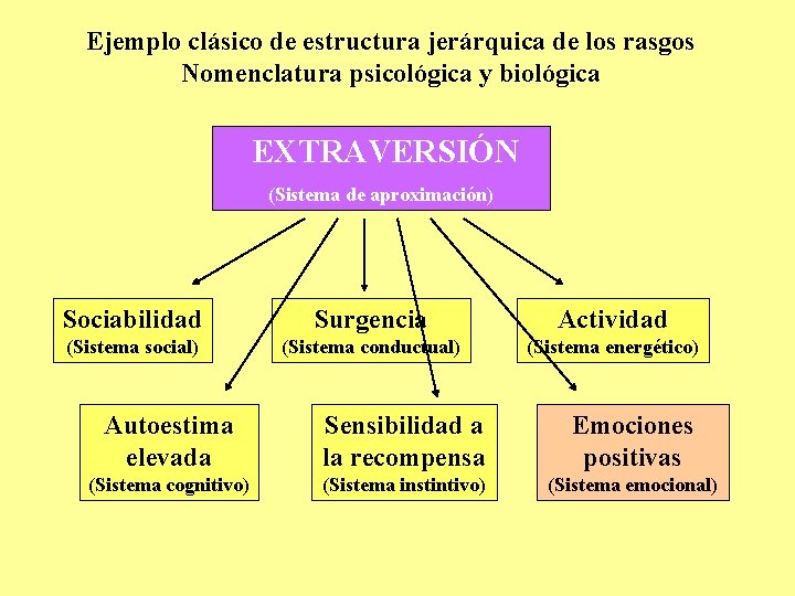 Ejemplo clásico de estructura jerárquica de los rasgos Nomenclatura psicológica y biológica EXTRAVERSIÓN (Sistema