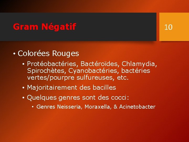 Gram Négatif • Colorées Rouges • Protéobactéries, Bactéroïdes, Chlamydia, Spirochètes, Cyanobactéries, bactéries vertes/pourpre sulfureuses,