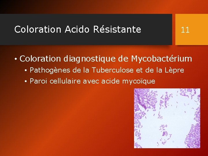 Coloration Acido Résistante 11 • Coloration diagnostique de Mycobactérium • Pathogènes de la Tuberculose