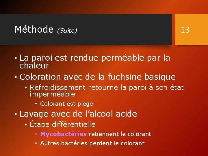 Méthode (Suite) 13 • La paroi est rendue perméable par la chaleur • Coloration