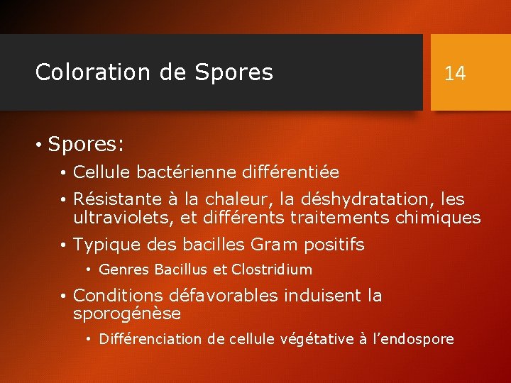 Coloration de Spores 14 • Spores: • Cellule bactérienne différentiée • Résistante à la