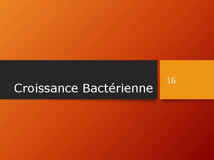 Croissance Bactérienne 16 