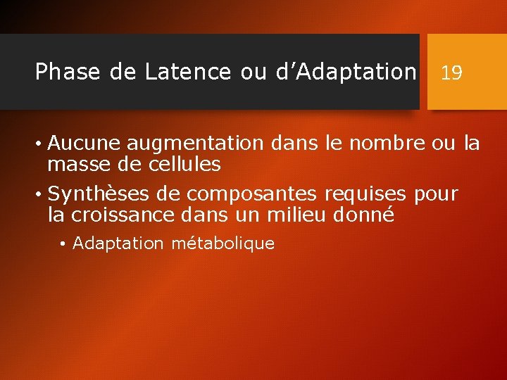 Phase de Latence ou d’Adaptation 19 • Aucune augmentation dans le nombre ou la