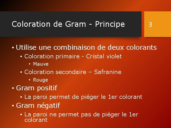 Coloration de Gram - Principe 3 • Utilise une combinaison de deux colorants •