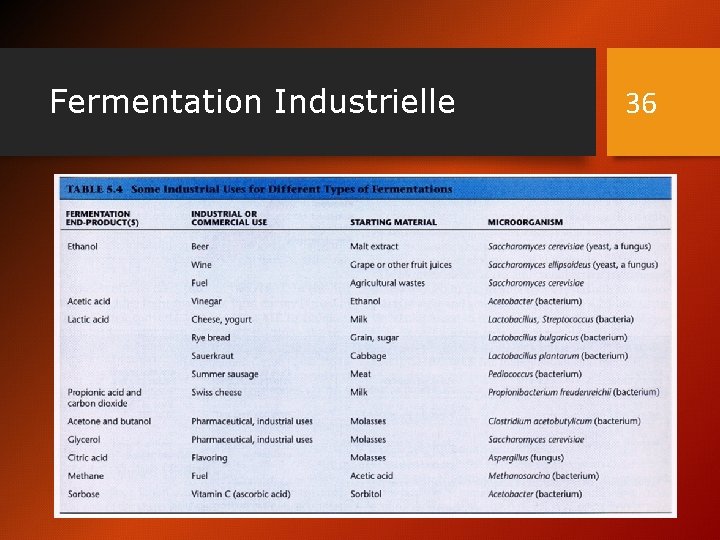 Fermentation Industrielle 36 