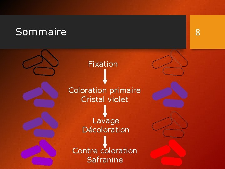 Sommaire 8 Fixation Coloration primaire Cristal violet Lavage Décoloration Contre coloration Safranine 