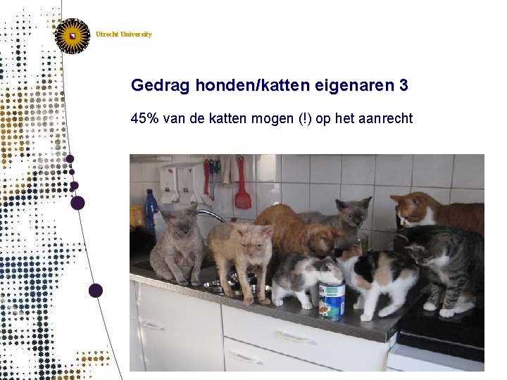 Utrecht University Gedrag honden/katten eigenaren 3 45% van de katten mogen (!) op het
