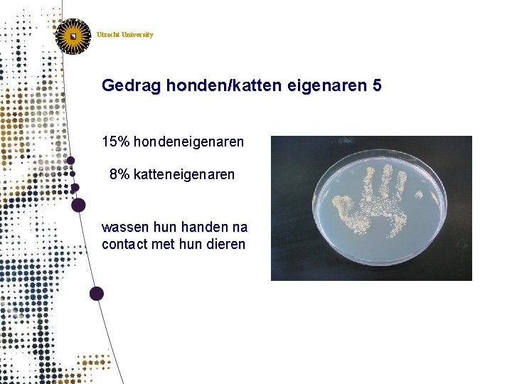 Utrecht University Gedrag honden/katten eigenaren 5 15% hondeneigenaren 8% katteneigenaren wassen hun handen na